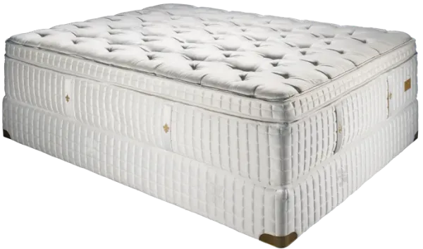 Maria Box Top Plush Mattress
