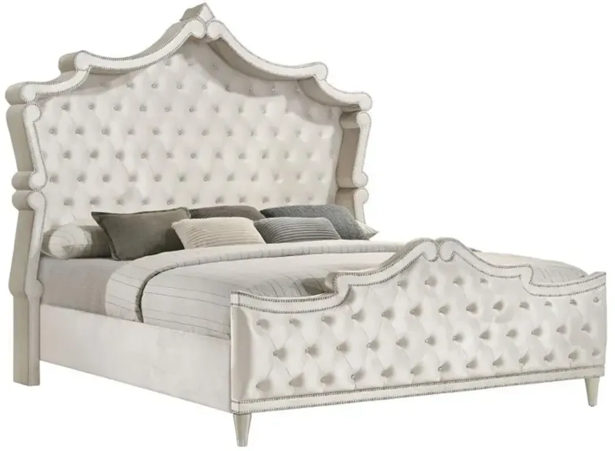 Antonella - Upholstered Panel Bed