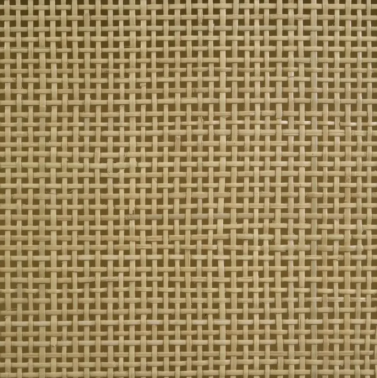 Arini - Rattan Panel Bed