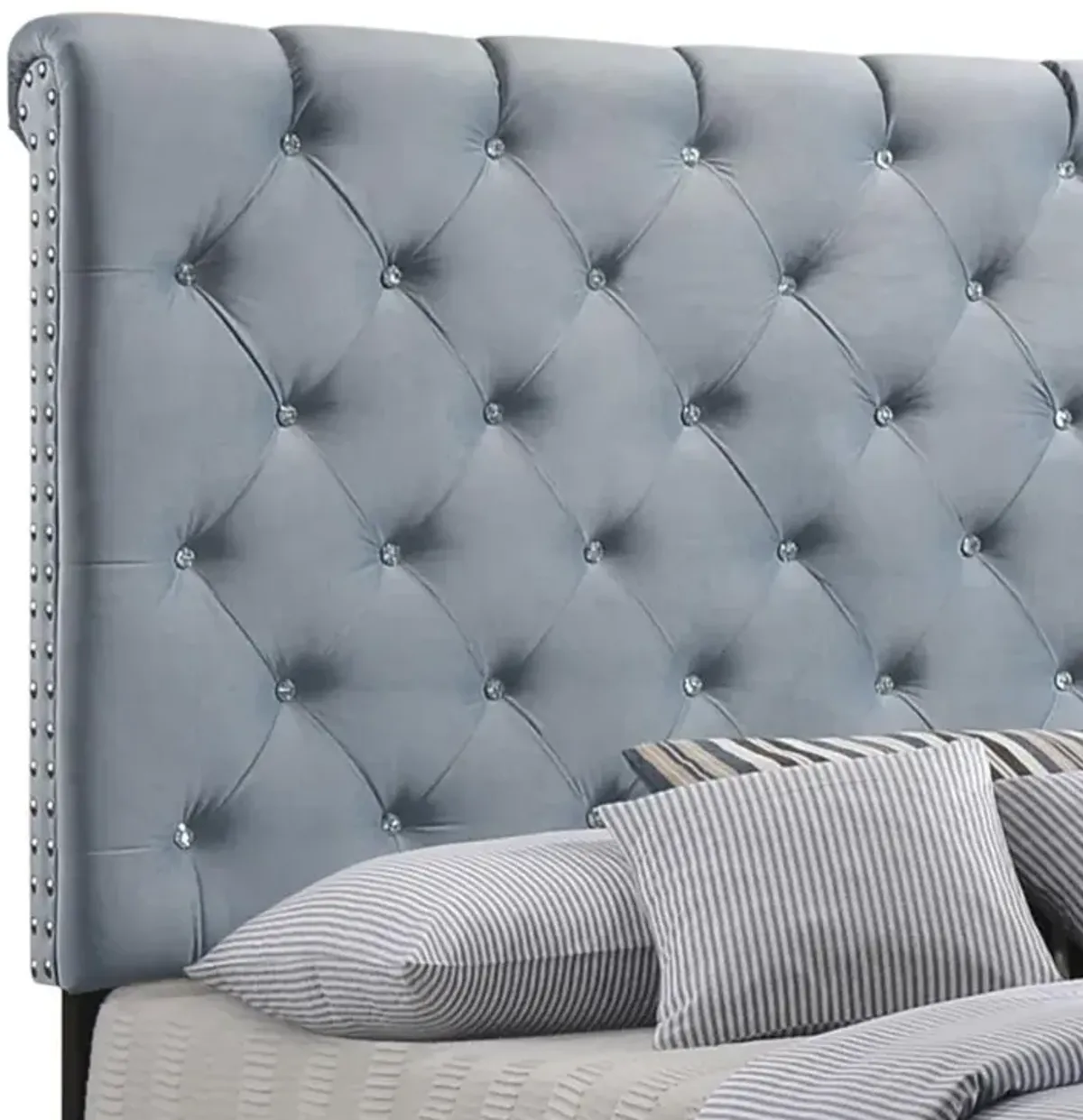 Warner - Upholstered Panel Bed