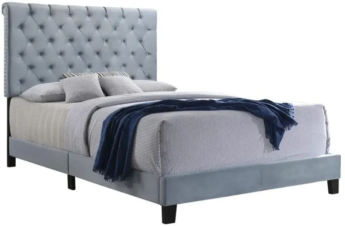 Warner - Upholstered Panel Bed