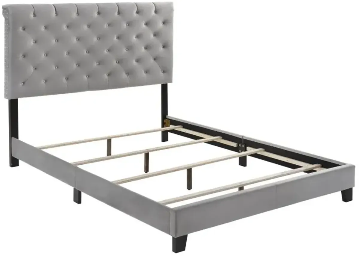 Warner - Upholstered Panel Bed