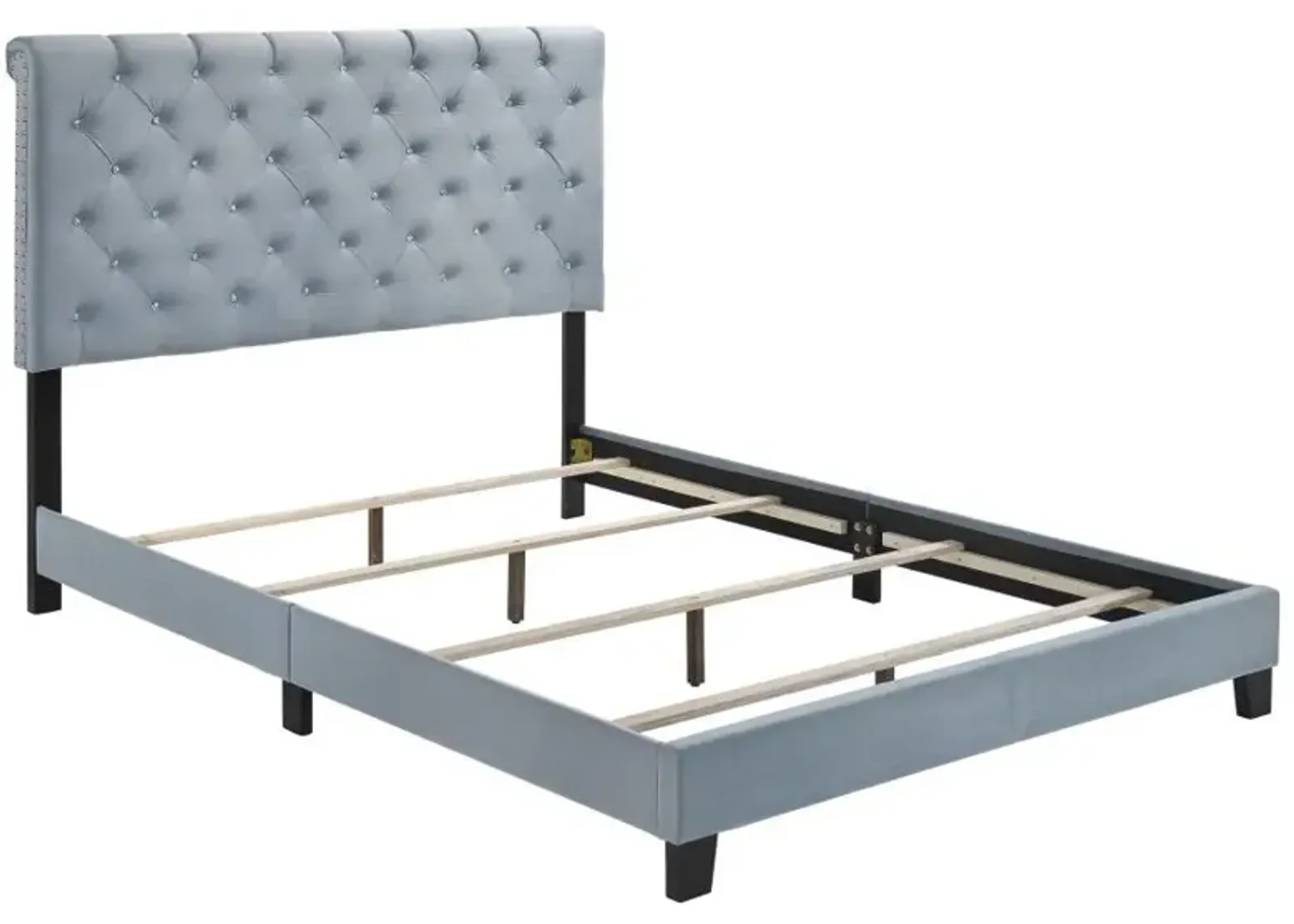 Warner - Upholstered Panel Bed