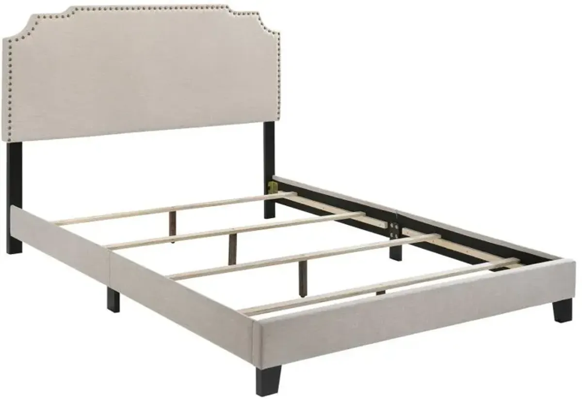 Tamarac - Upholstered Panel Bed