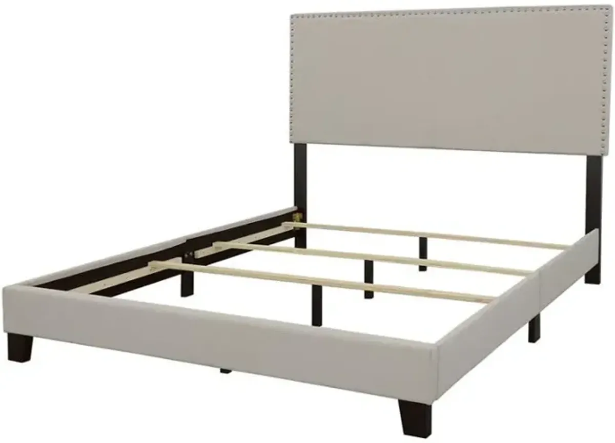 Boyd - Upholstered Panel Bed