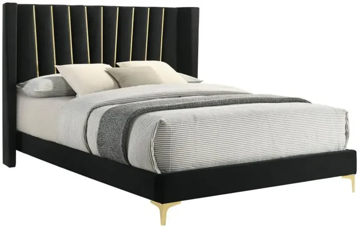 Kendall - Modern Upholstered Panel Bed