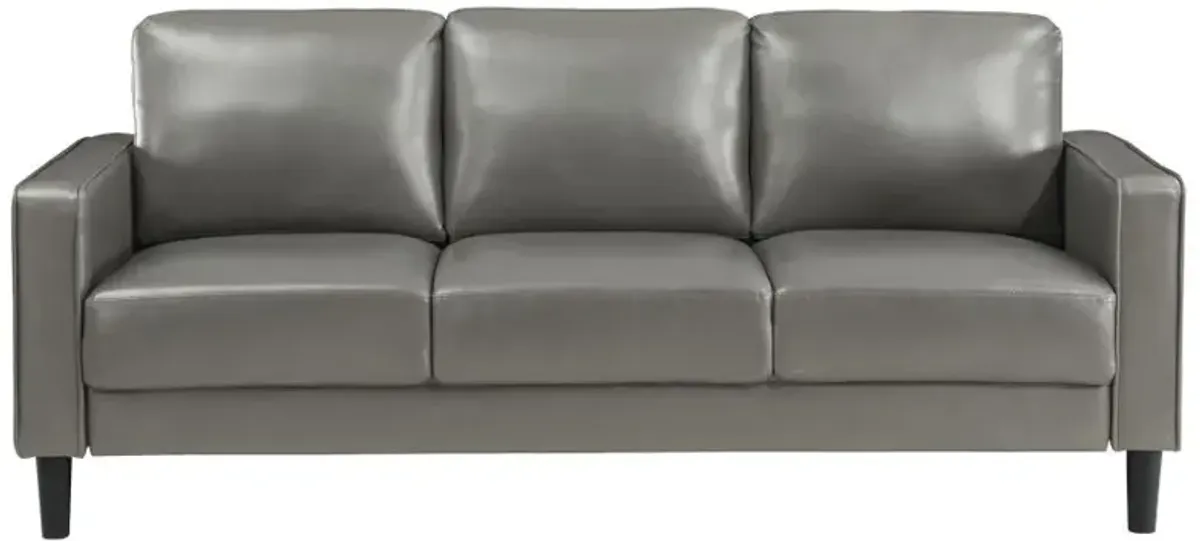 Ruth - Upholstered Track Arm Sofa Set