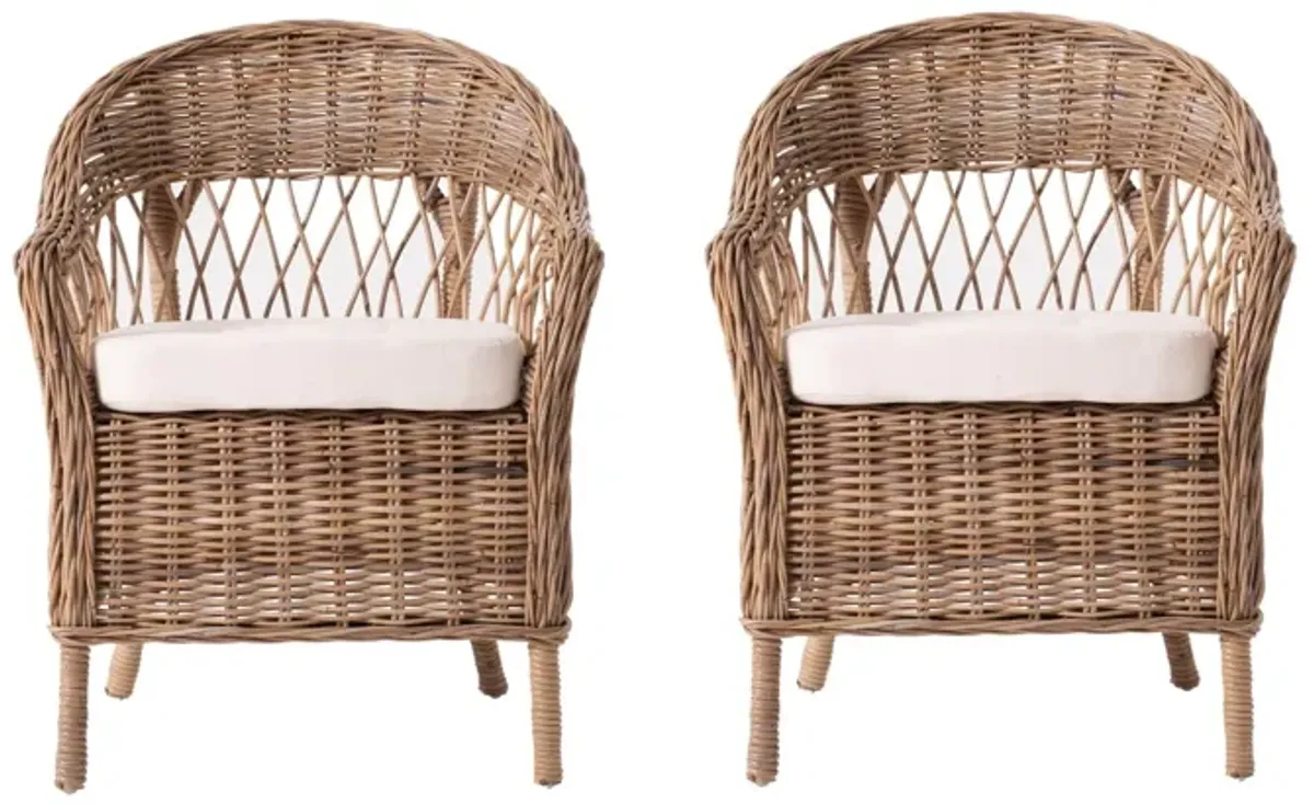 Semi Circle Back Wicker Chairs With Seat Cushions (Set of 2) - Gray Brown