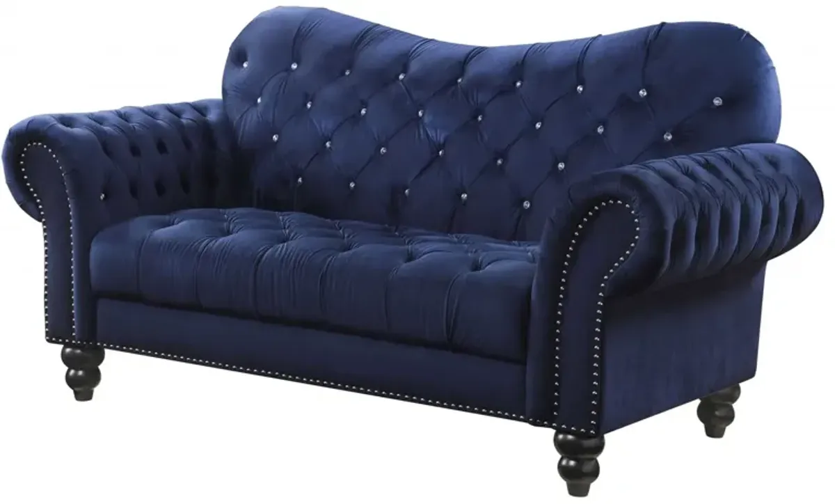Velvet Loveseat - Navy Blue / Black