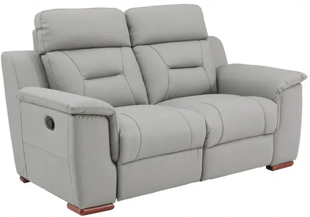 Faux Leather Manual Reclining Love Seat - Gray / Brown