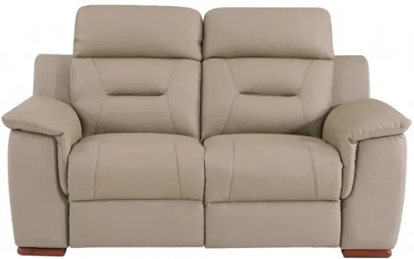 Faux Leather Manual Reclining Love Seat - Beige / Brown