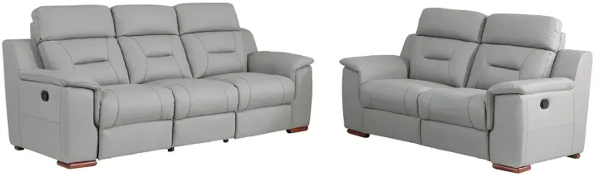 2 Piece Genuine Leather Indoor Five Person Seating Set - Gray