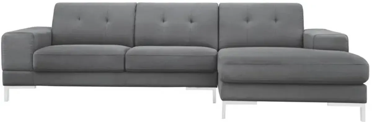 Polyester L Shaped Two Piece Sofa And Chaise Sectional - Dark Gray
