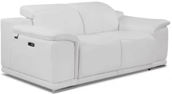 Italian Leather, Power Reclining Loveseat - White / Silver