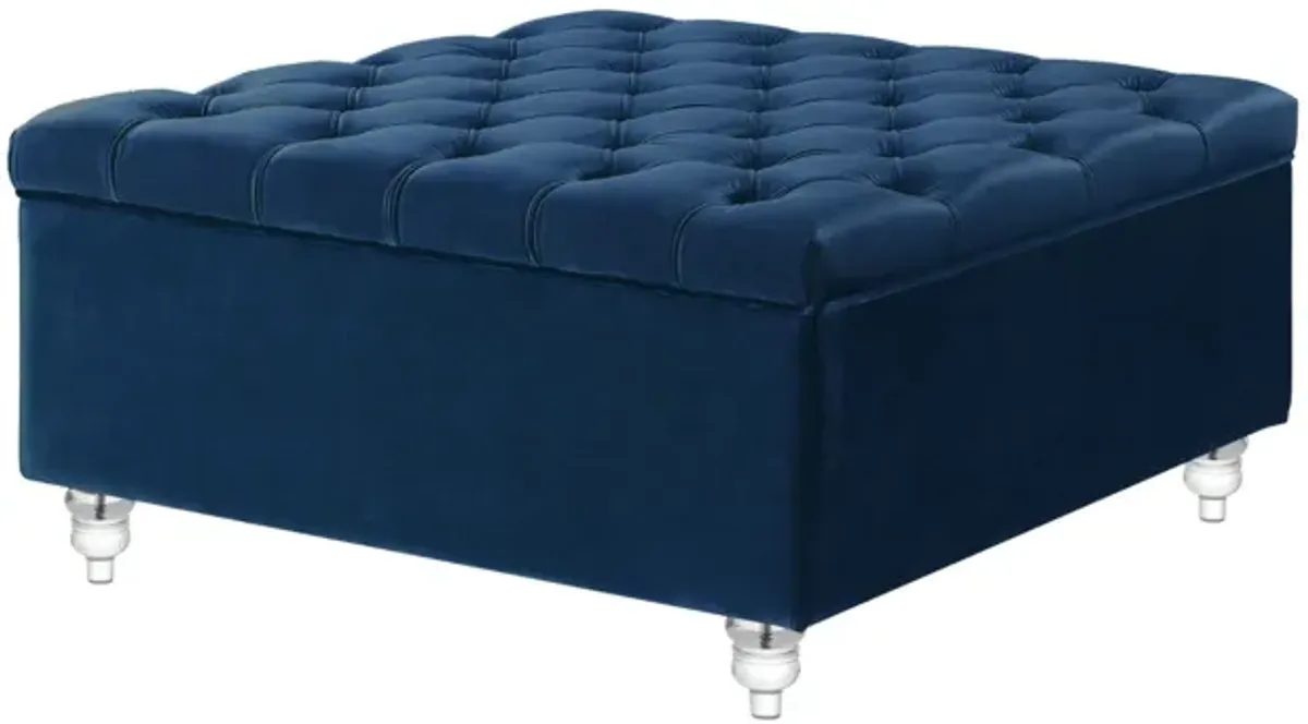 Velvet Tufted Storage - Blue / Clear