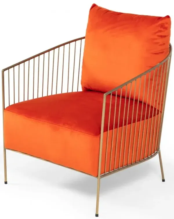 Velvet And Gold Solid Color Arm Chair - Orange