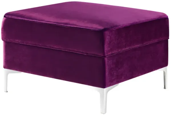Velvet Storage - Purple / Silver
