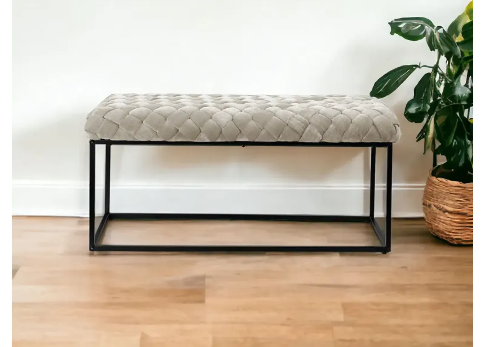 Upholstered Velvet Bench - Cream / Black