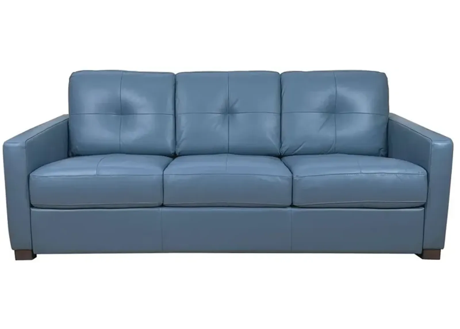 Leather Sleeper Sofa - Blue / Black