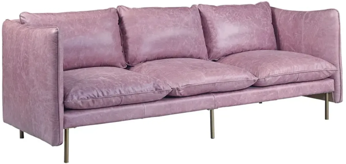 Top Grain Leather And Black Sofa - Wisteria