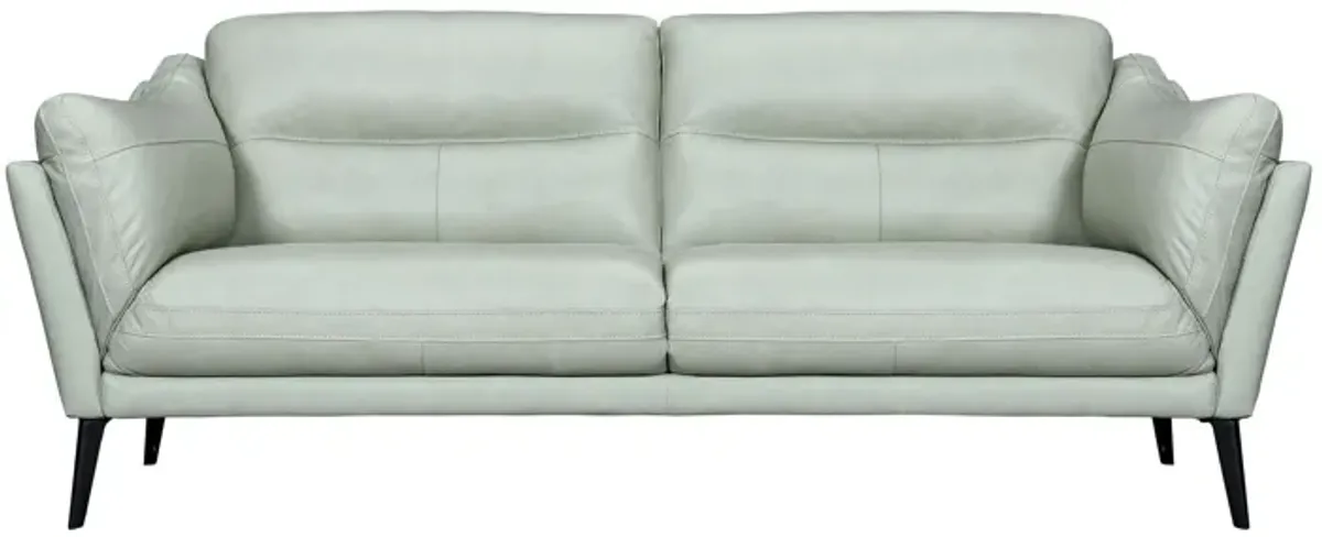 Leather Sofa With Black Legs - Mint Green