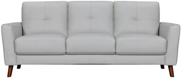 Leather Sofa With Brown Legs - Light Slate Gray