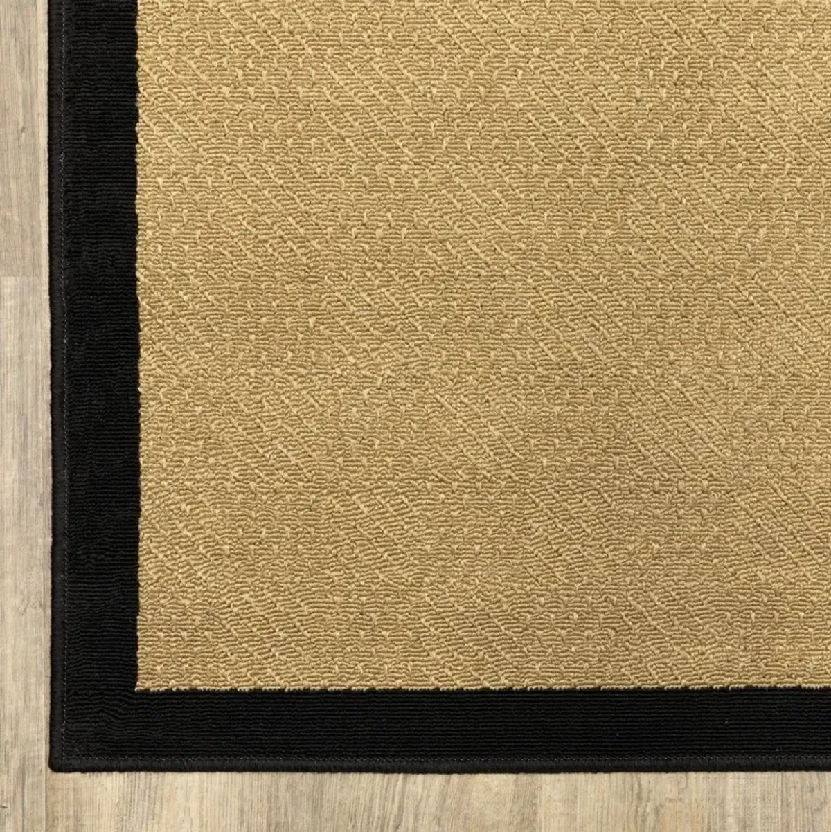 2' X 4' Indoor / Outdoor Area Rug - Beige / Black