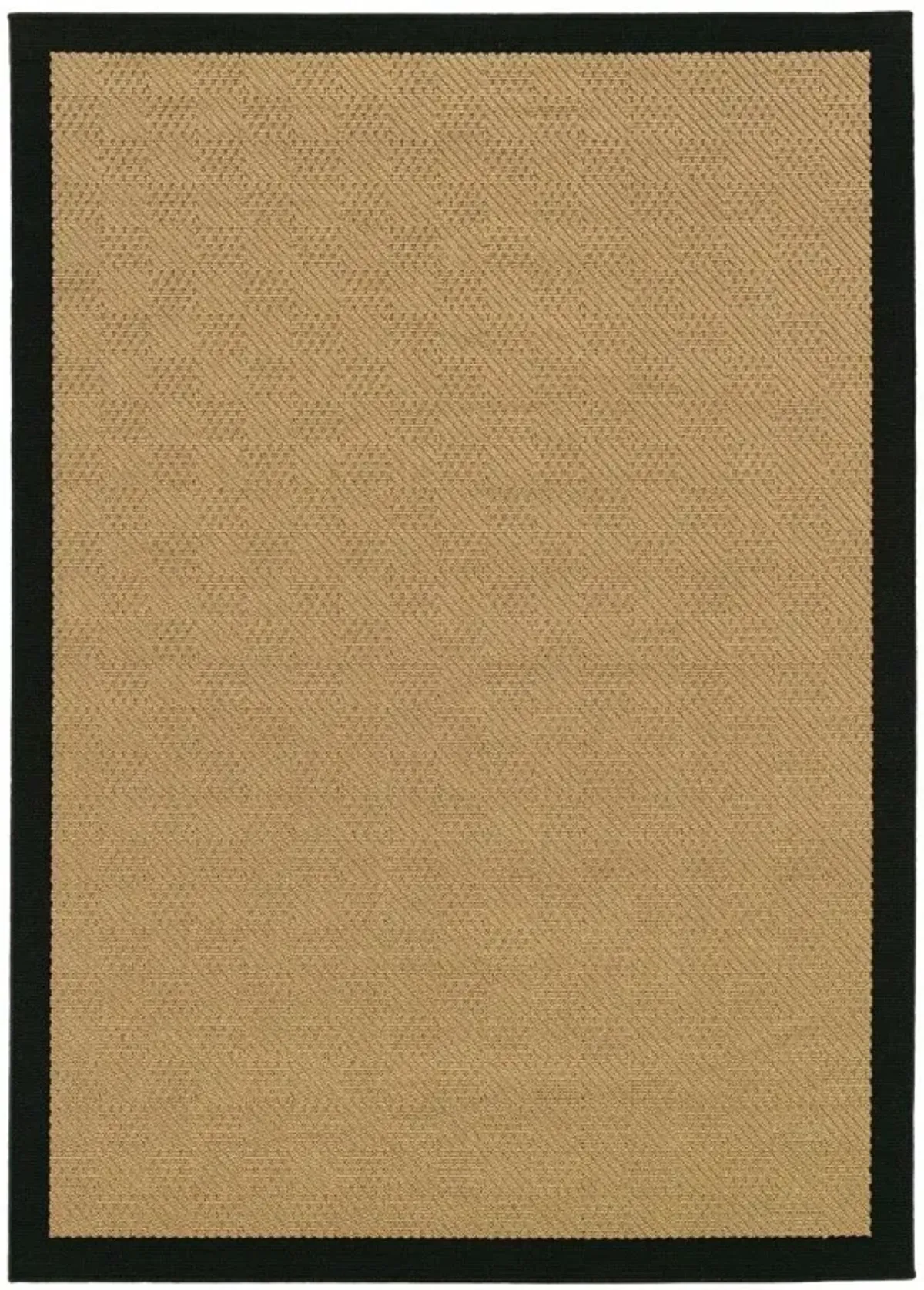 2' X 4' Indoor / Outdoor Area Rug - Beige / Black