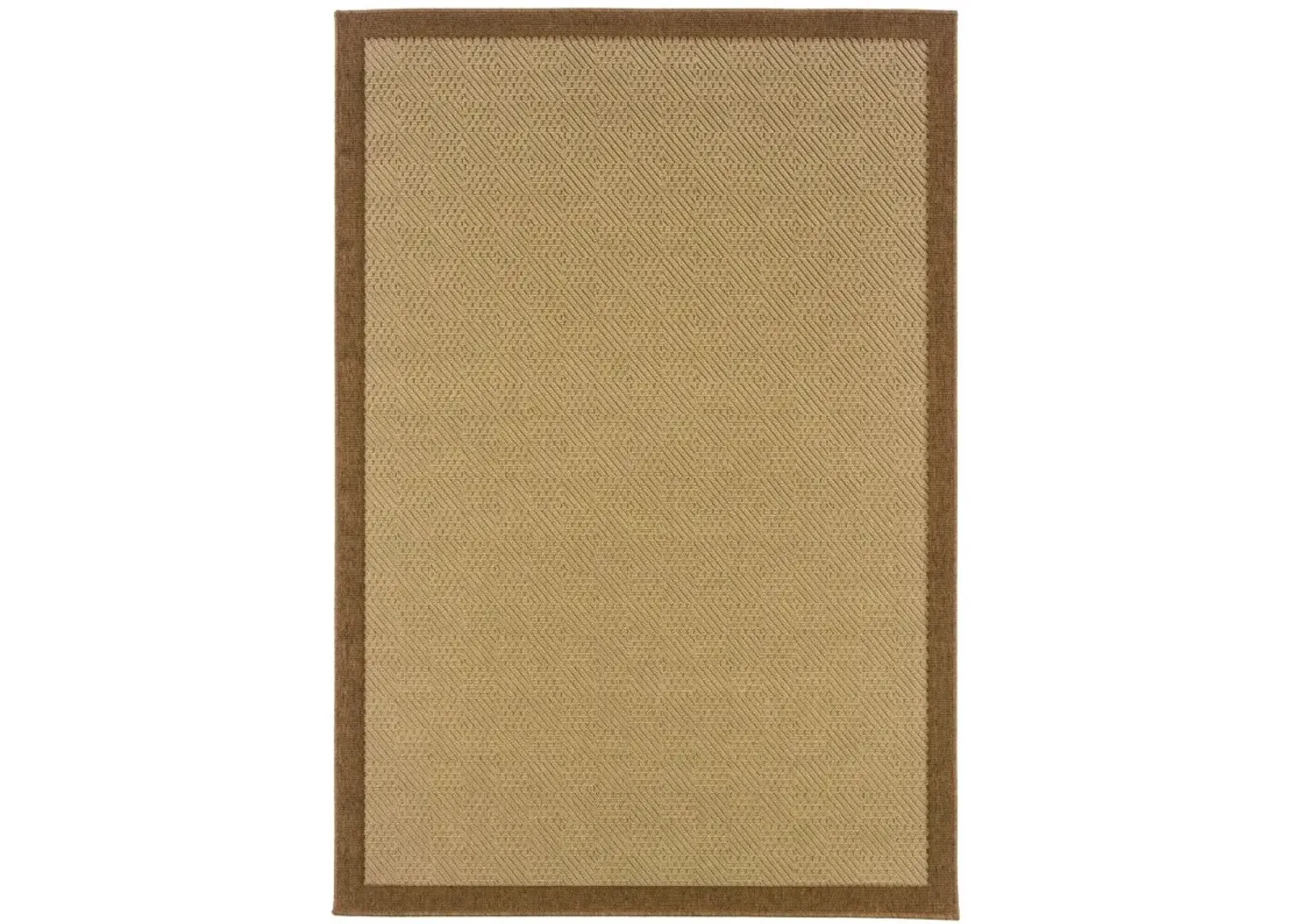 5' X 8' Indoor & Outdoor Area Rug - Beige