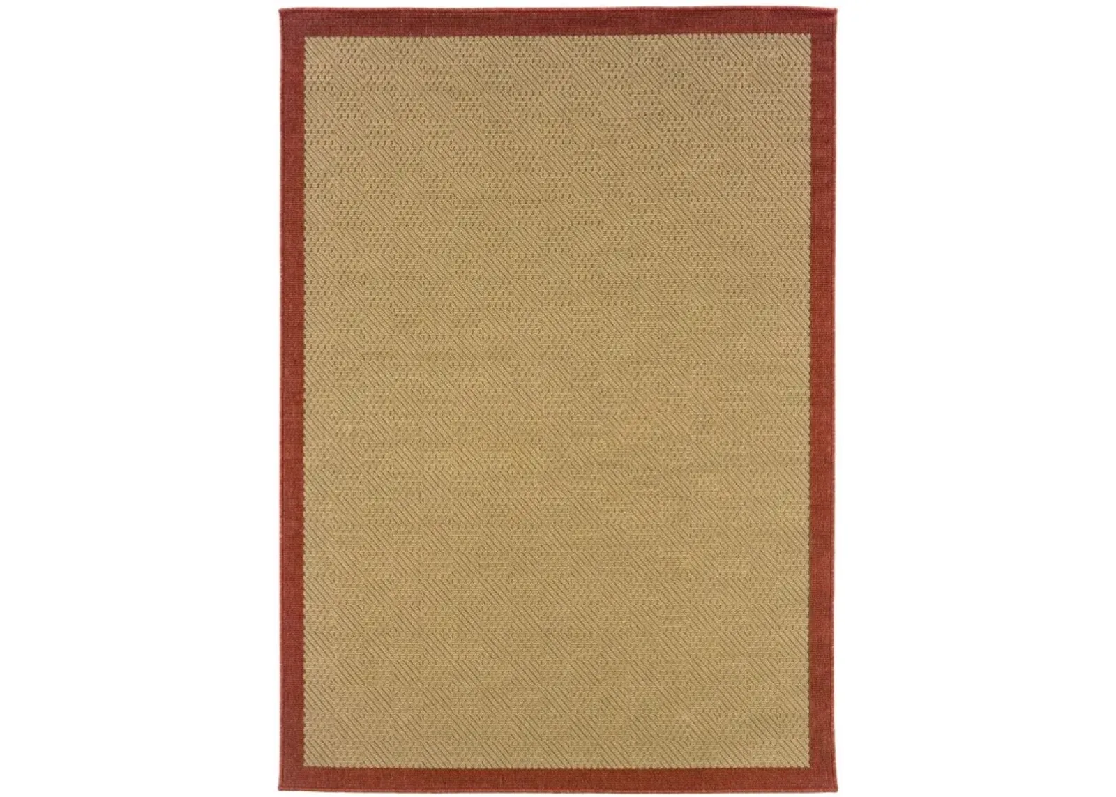 Outdoor / Indoor Area Rug - Beige