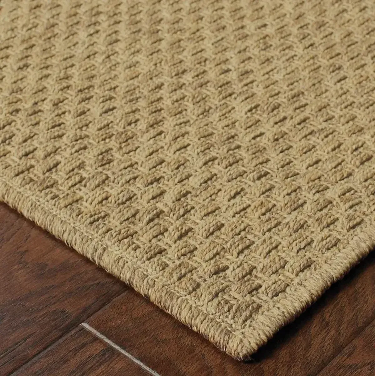 2' X 8' Indoor / Outdoor Area Rug - Tan