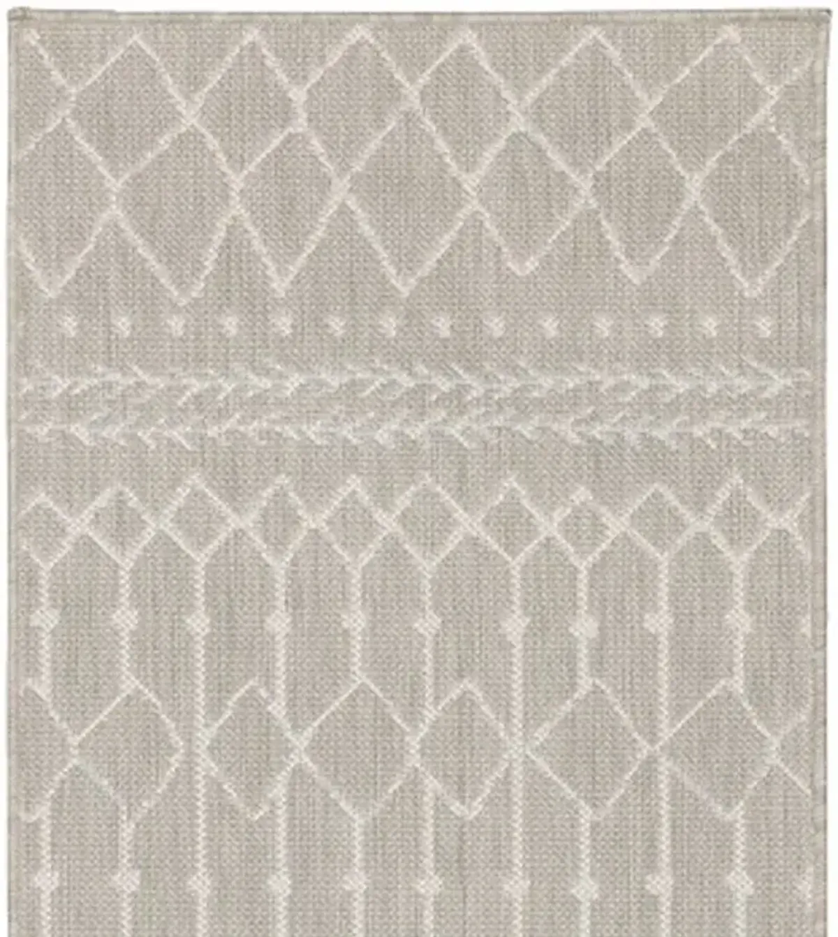 Indoor / Outdoor Area Rug - Gray / Ivory