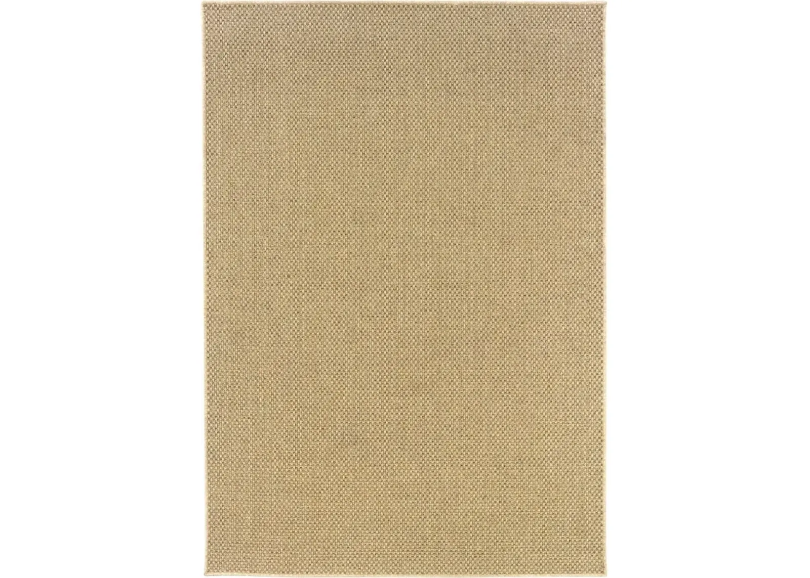 2' X 4' Indoor & Outdoor Area Rug - Beige