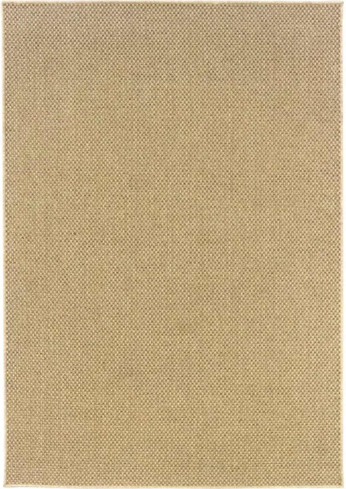 2' X 4' Indoor & Outdoor Area Rug - Beige