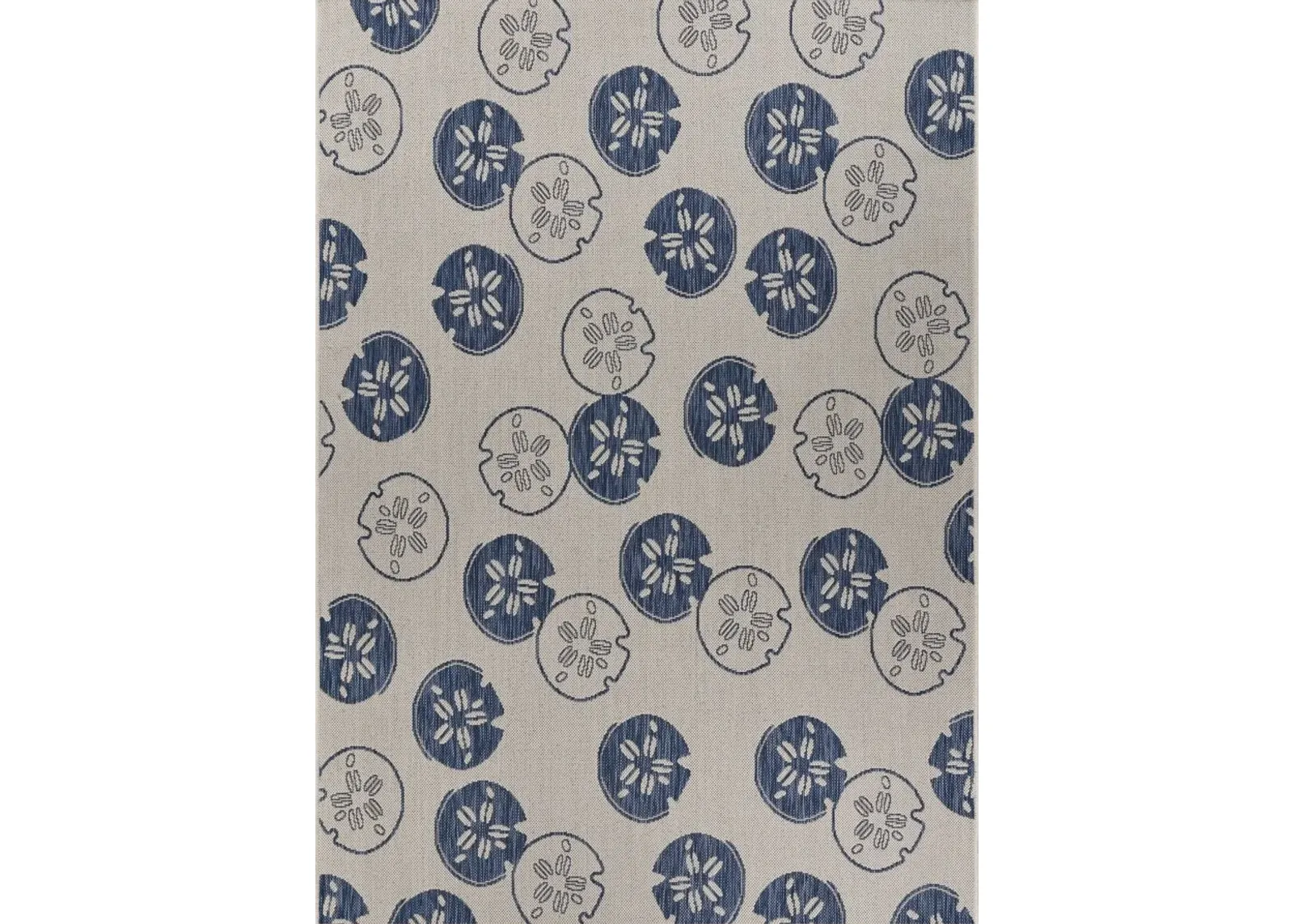 5' X 7' Indoor & Outdoor Area Rug - Gray / Blue