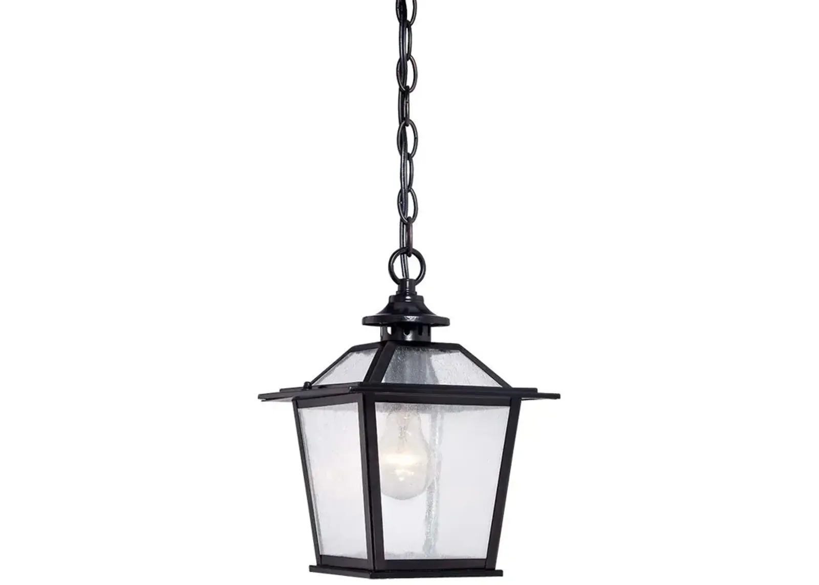 Terrarium Shape Hanging Light - Matte Black