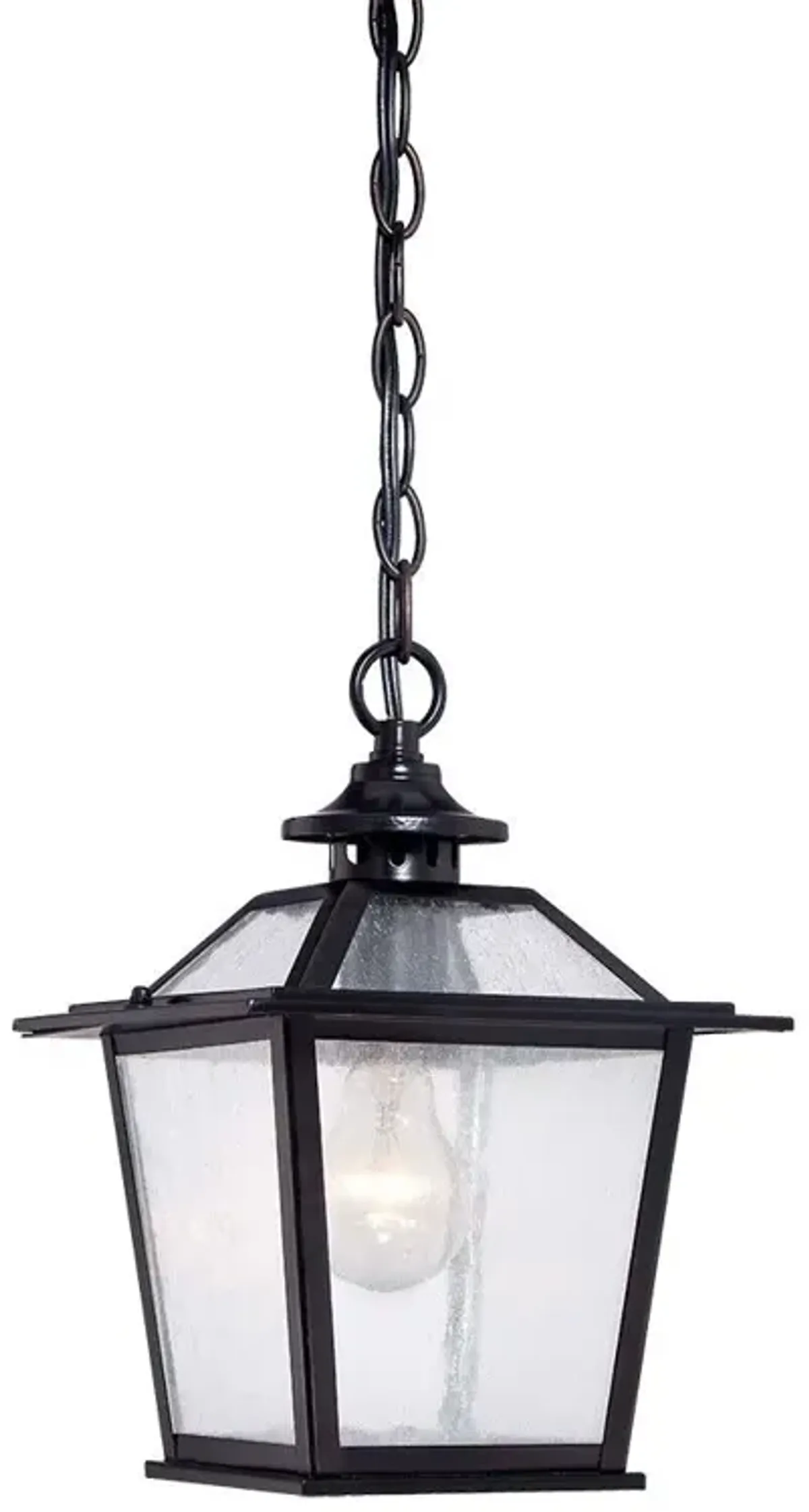 Terrarium Shape Hanging Light - Matte Black