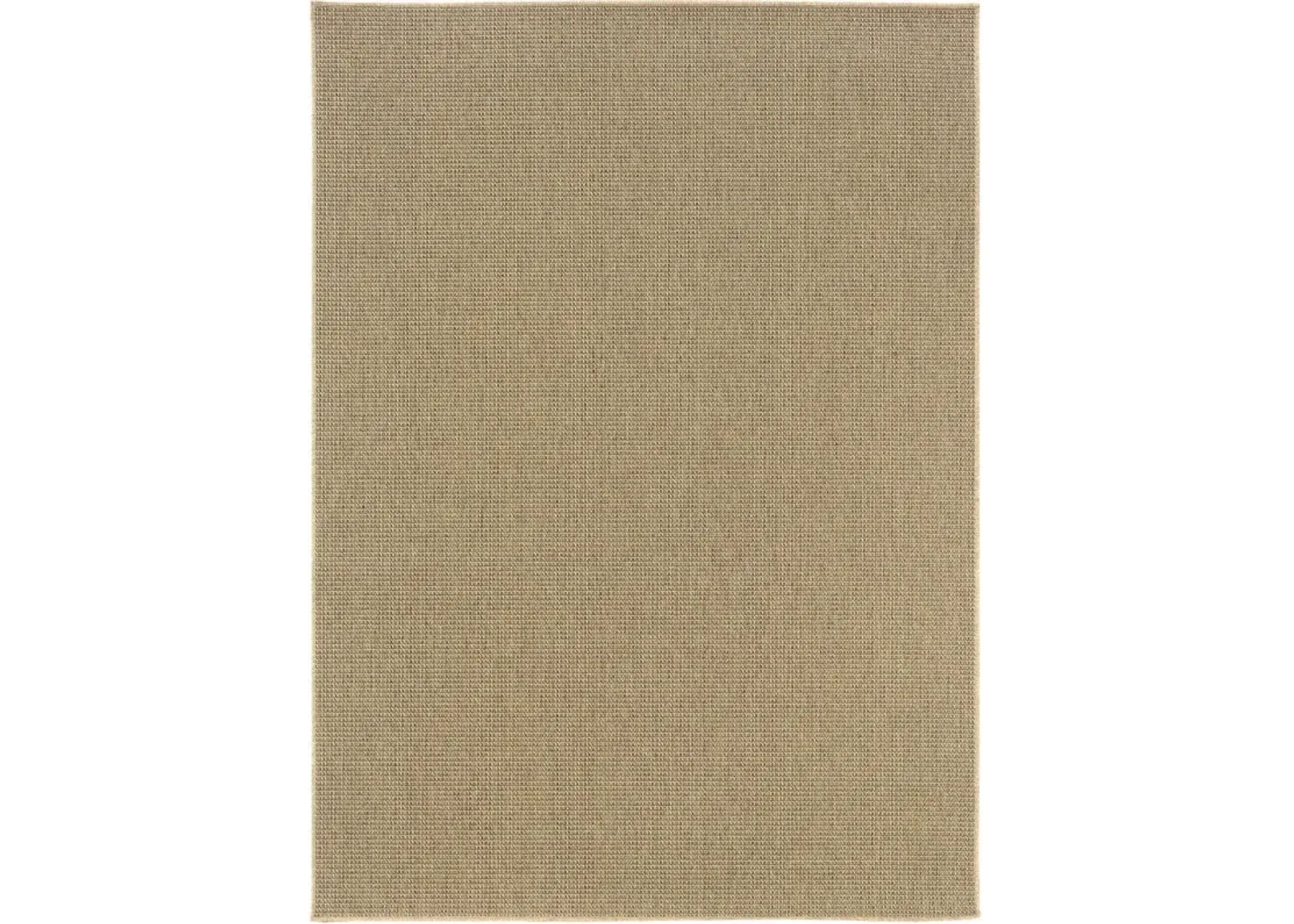 2' X 4' Stain Resistant Indoor / Outdoor Area Rug - Beige