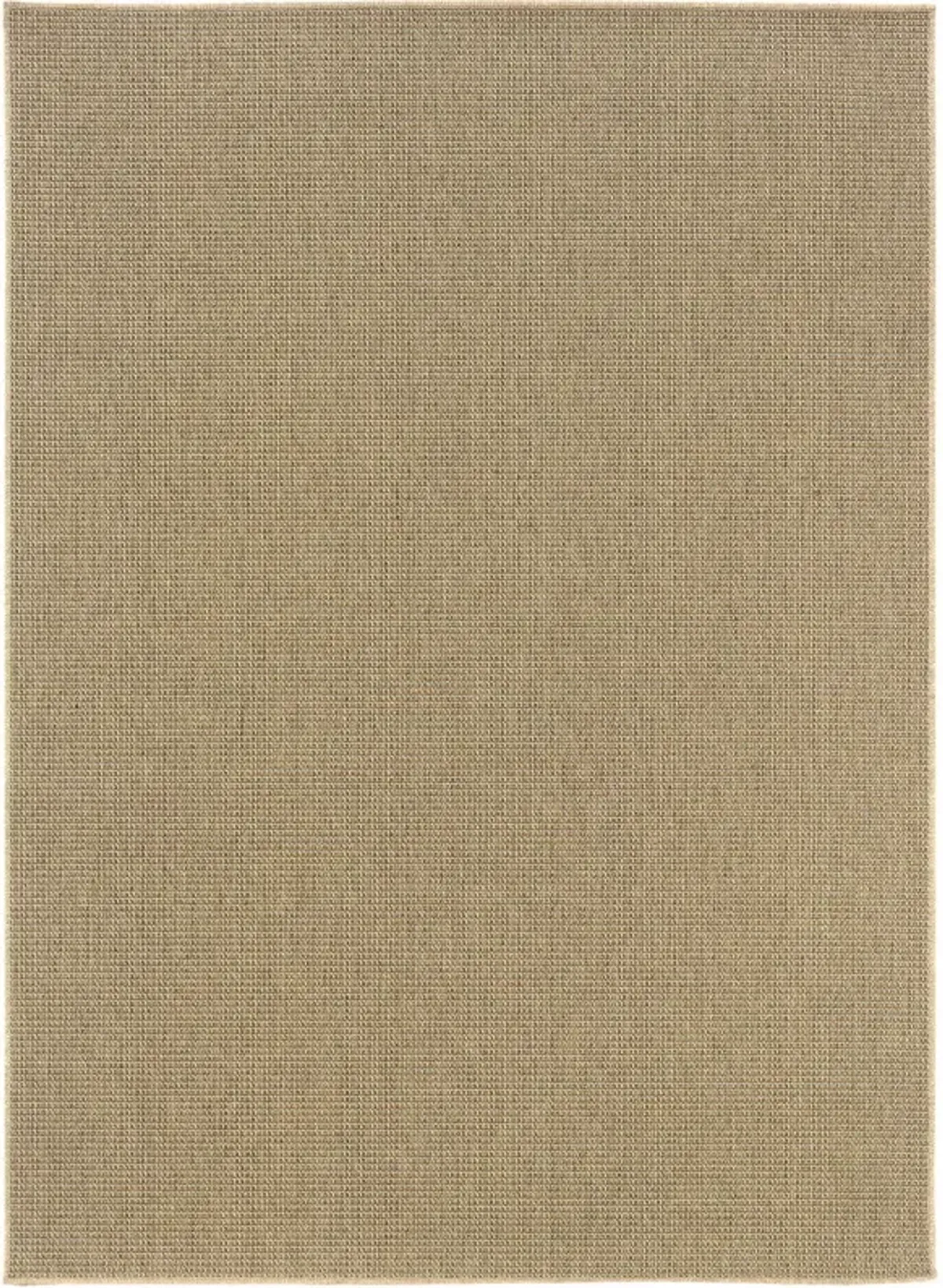 2' X 4' Stain Resistant Indoor / Outdoor Area Rug - Beige