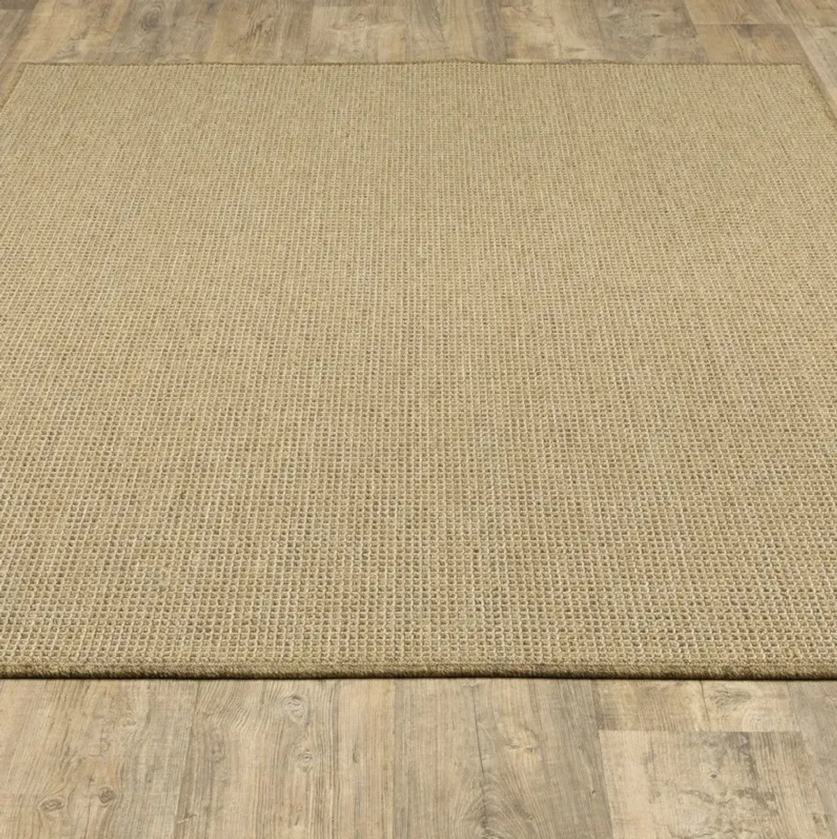 2' X 4' Stain Resistant Indoor & Outdoor Rug - Beige