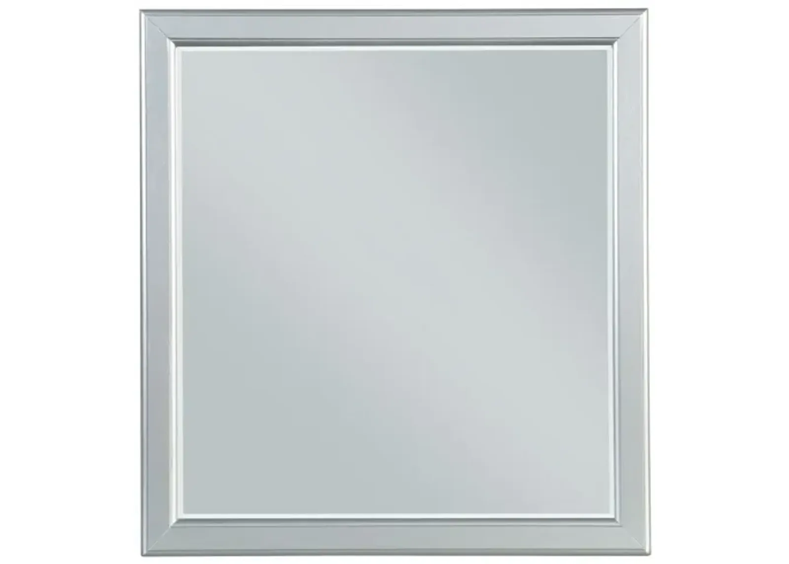 38" Rectangle Wall Mounted Accent Mirror - Silver