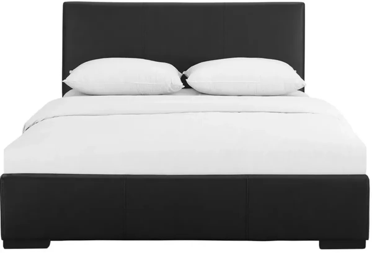 Upholstered Queen Platform Bed - Black