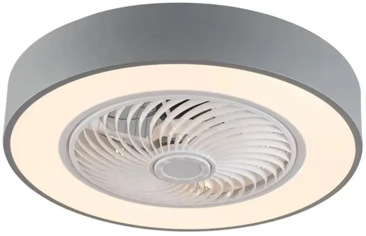 Modern Ceiling Ceiling Fan And Light - Black