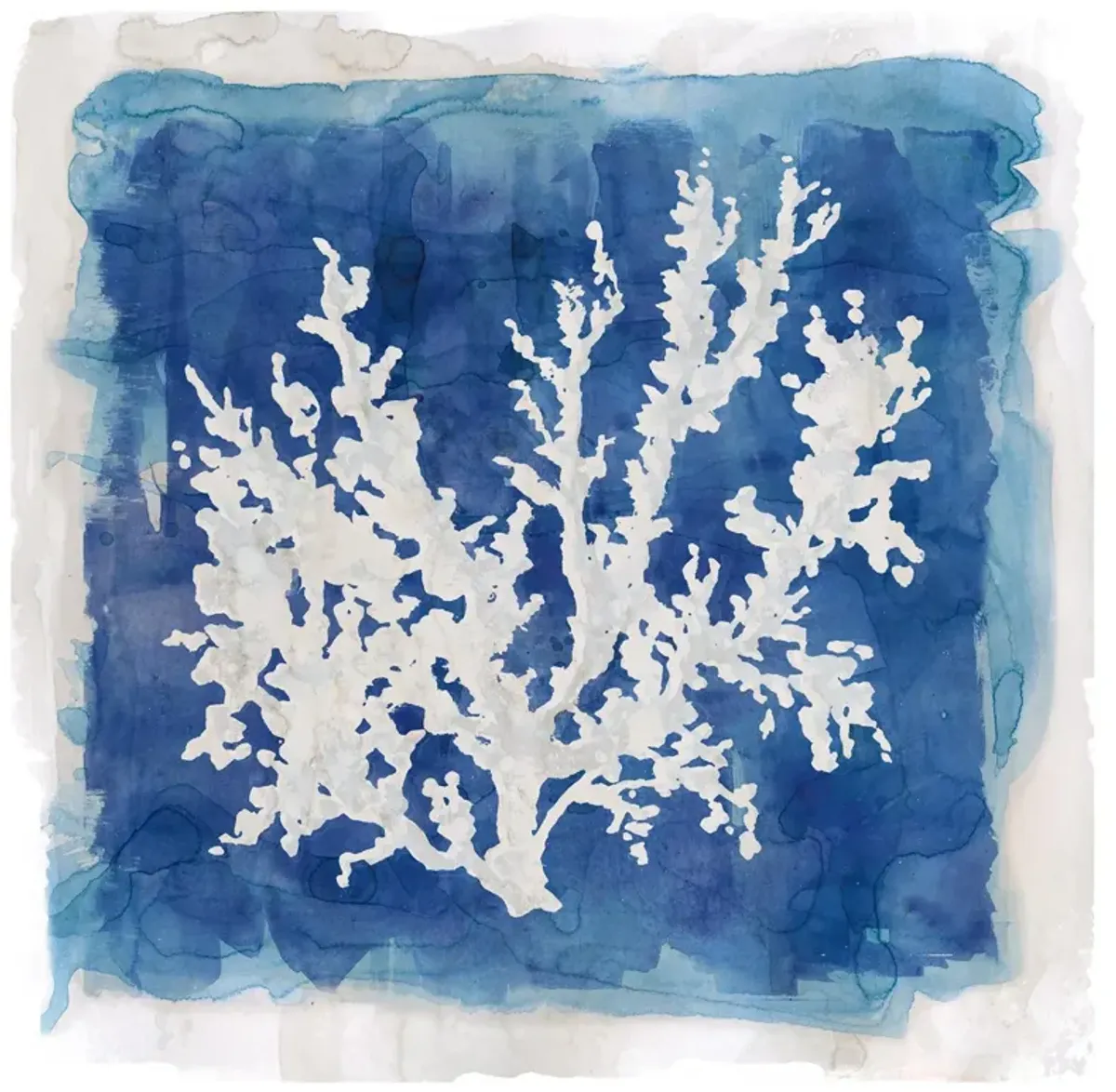 Coastal Washes Coral II By Carol Robinson - Blue