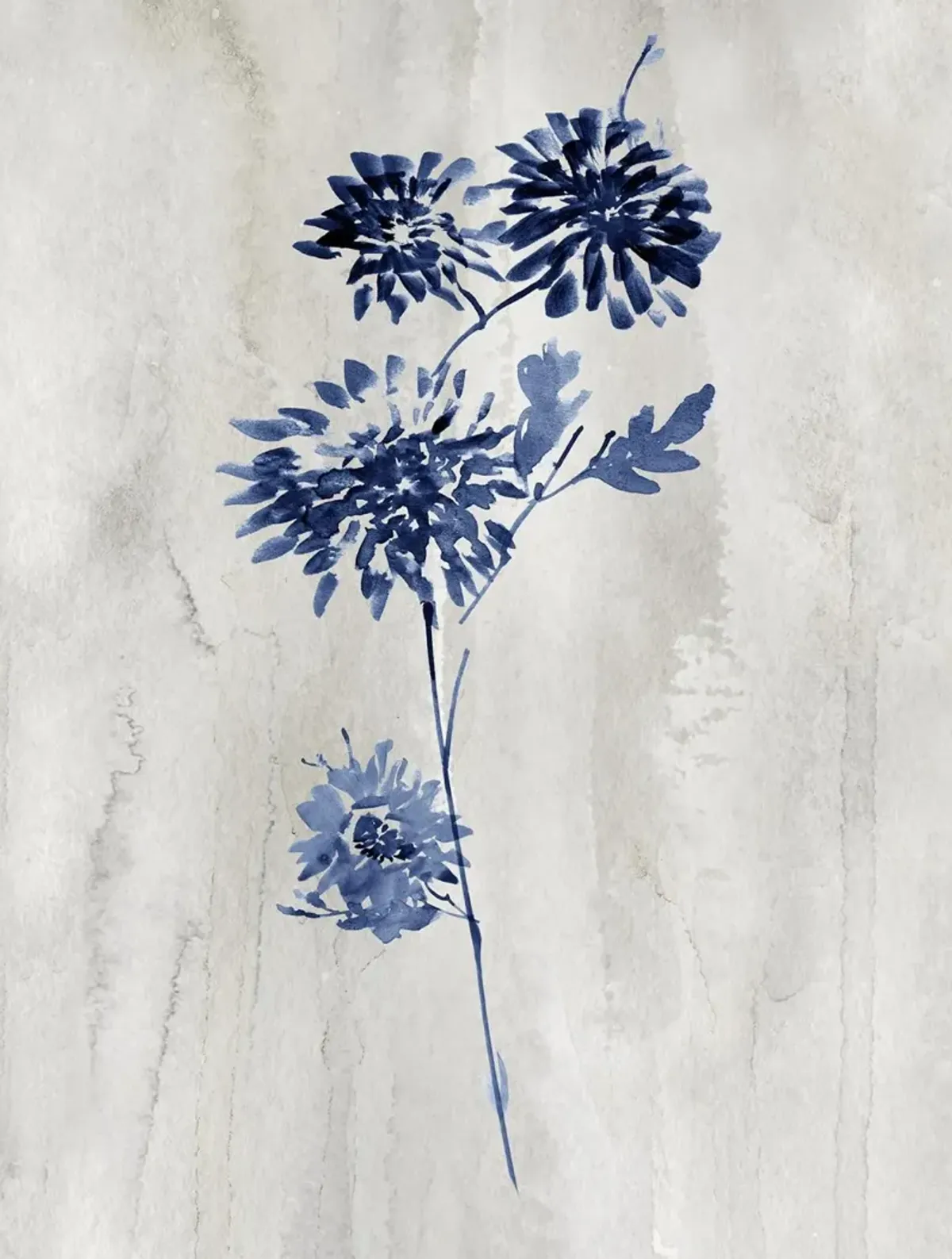 Framed - Indigo Botanical Iv By Conrad Knutsen - Blue