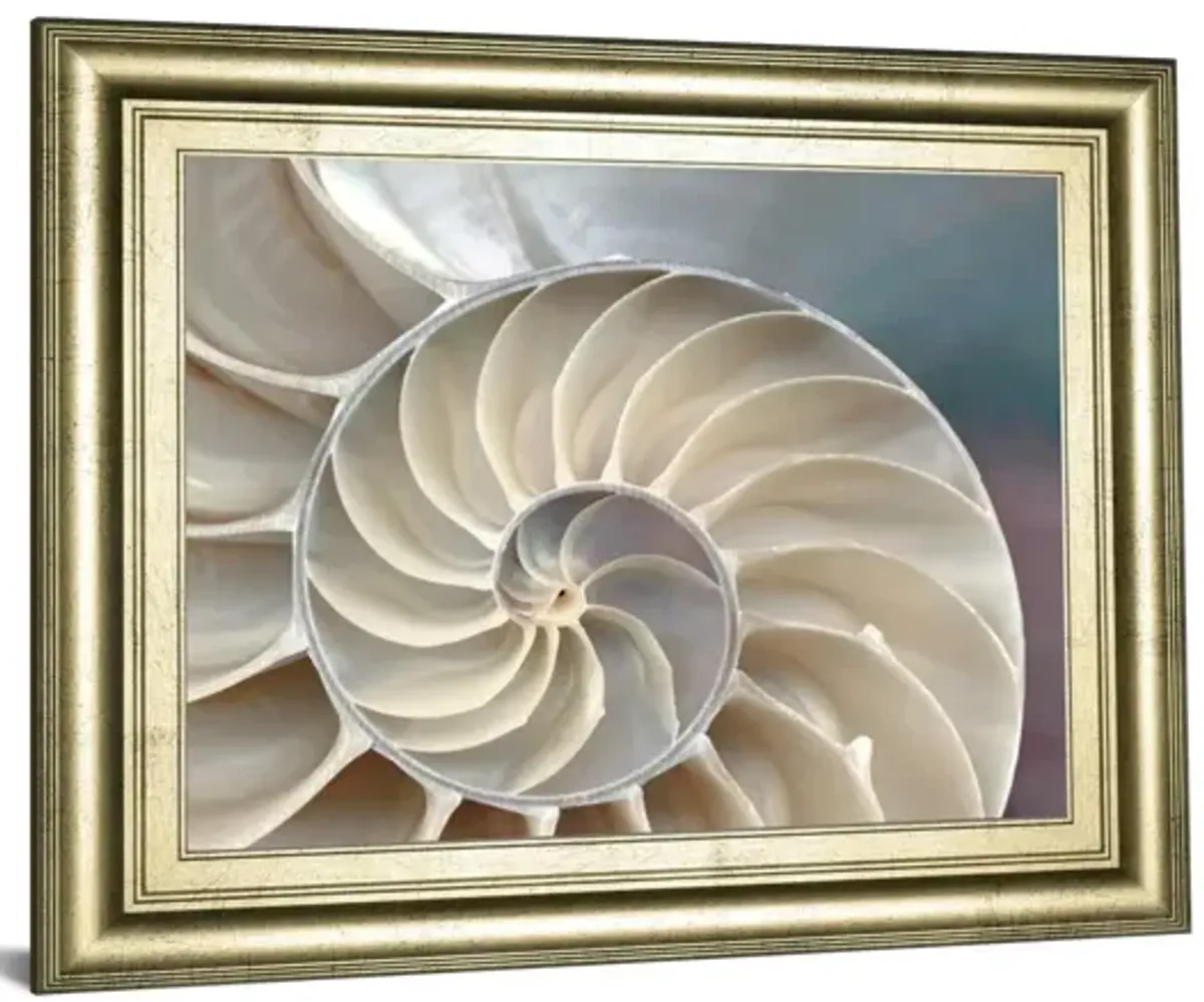 Nautilus By Levine, A. - Framed Print Wall Art - Pearl Silver