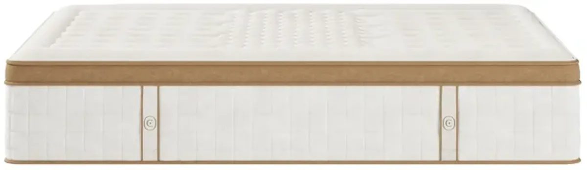 Cloverlane Hybrid Medium - Mattress