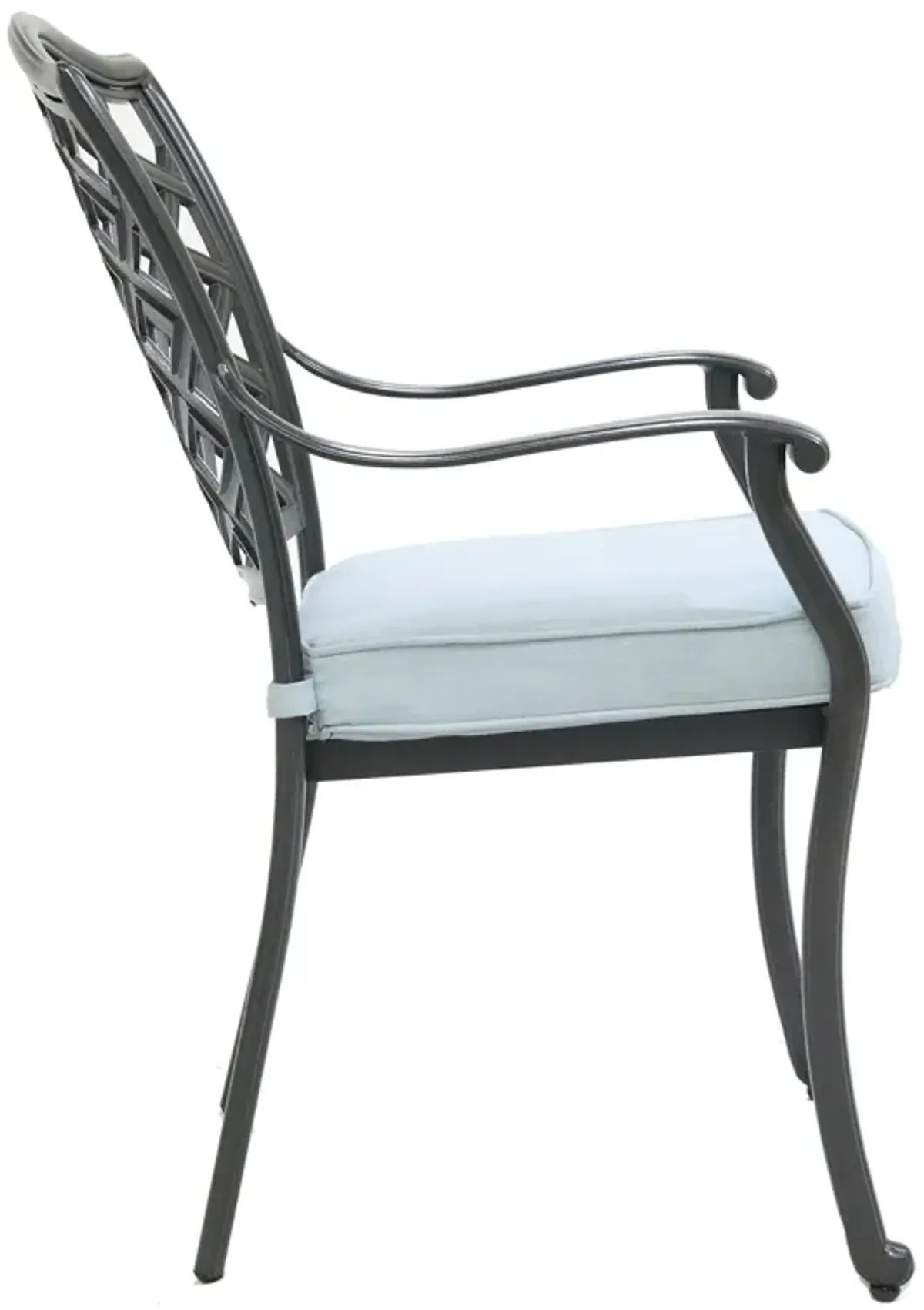 Dining Arm Chair (Set of 2)