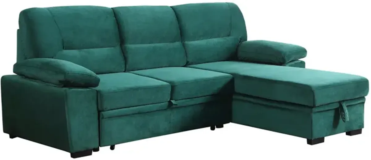 Kipling - Reversible Sleeper Sectional Sofa Chaise