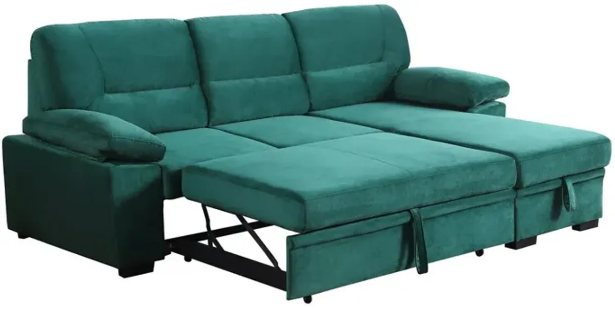 Kipling - Reversible Sleeper Sectional Sofa Chaise